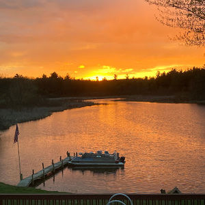 Meet your Posher, Ann